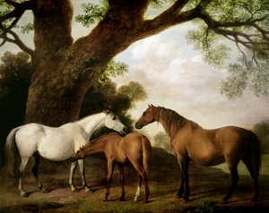 Duas éguas de Shafto e um potro, 1774